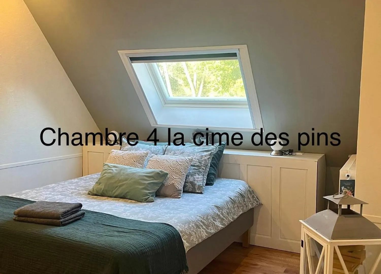 Bed & Breakfast Chambres D'Hotes, La Cime Des Pins Crevin France